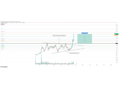 Arm Holdings ADR