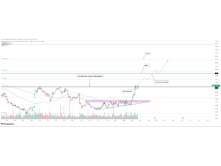  Heineken Holding N.V. (HEIO)