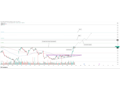  Heineken Holding N.V. (HEIO)